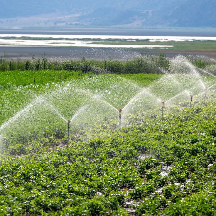 Irrigation & Drainage
